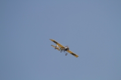 Freundschaftsfliegen-2014_45