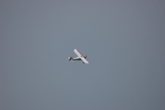 Monocoupe_Peter_074_resize