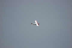 Monocoupe_Peter_076_resize