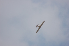Monocoupe_Peter_087_resize