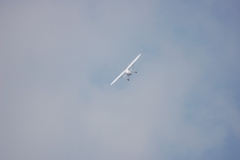 Monocoupe_Peter_089_resize