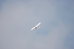 Monocoupe_Peter_090_resize